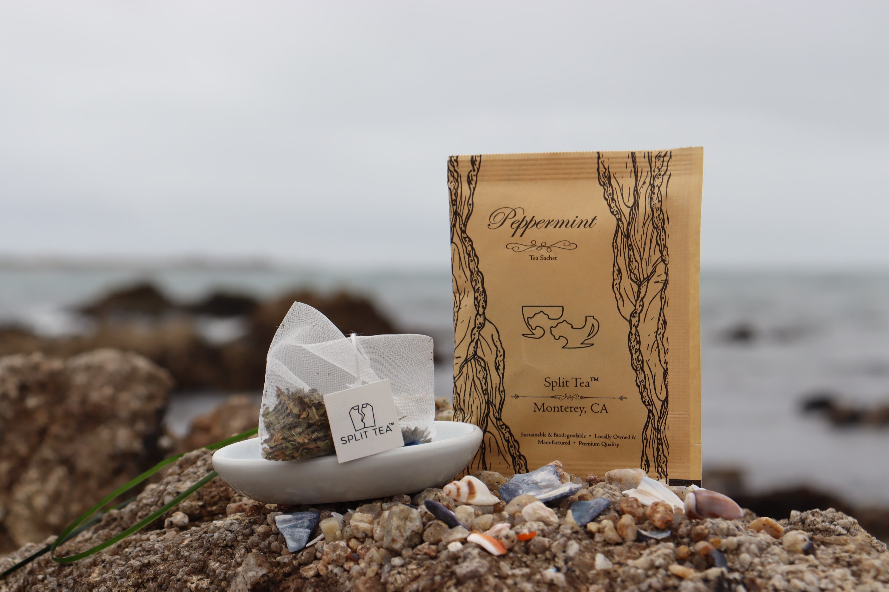 Kraft bag pyramid tea bag Monterey California tea bags eco friendly loose leaf split tea tea beach