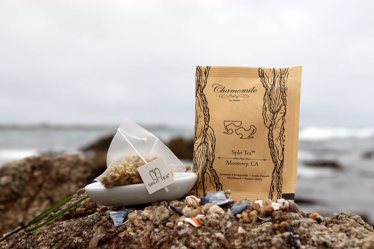 Kraft bag pyramid tea bag Monterey California tea bags eco friendly loose leaf split tea tea beach