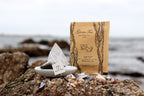 Kraft bag pyramid tea bag Monterey California tea bags eco friendly loose leaf split tea tea beach