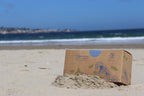 Kraft bag pyramid tea bag Monterey California tea bags eco friendly loose leaf split tea tea beach