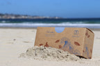 Kraft bag pyramid tea bag Monterey California tea bags eco friendly loose leaf split tea tea beach