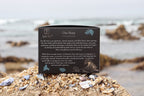 Kraft bag pyramid tea bag Monterey California tea bags eco friendly loose leaf split tea tea beach sea otters tea gifts